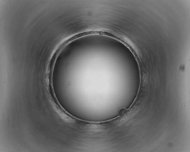 X0000097001124200802151408