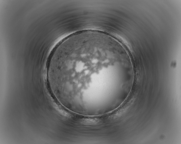 X0000097001125200802151408