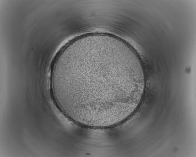 X0000097001126200802151408