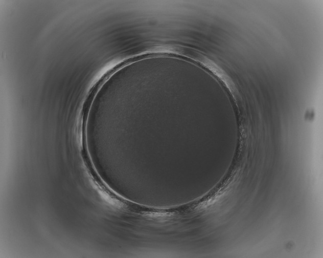 X0000097001127200802151408
