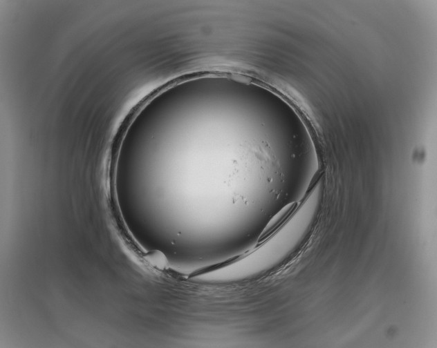 X0000097001128200802151408
