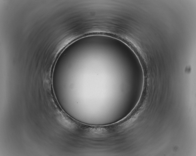X0000097001129200802151408