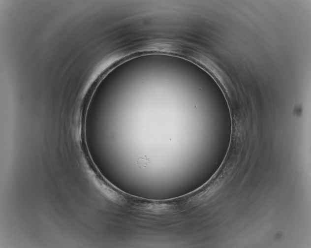 X0000097001131200802151408