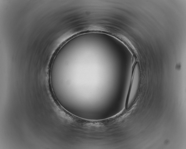 X0000097001133200802151409
