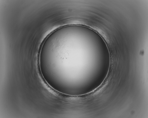 X0000097001134200802151409