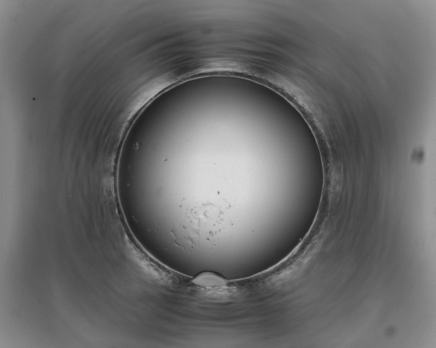 X0000097001137200802151409