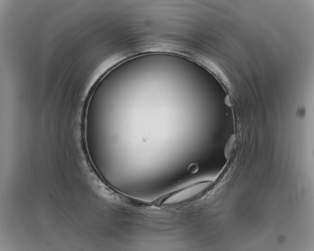 X0000097001138200802151409