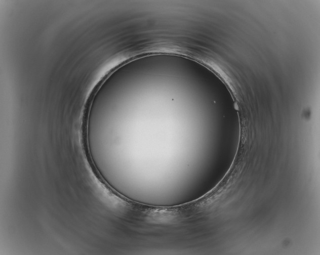 X0000097001139200802151409