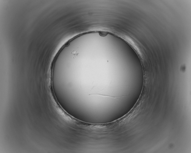 X0000097001140200802151409