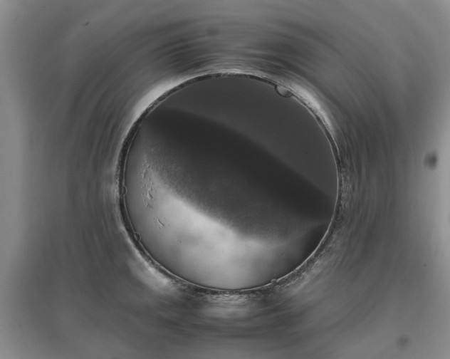X0000097001141200802151409