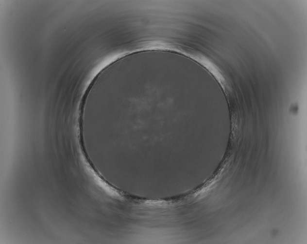 X0000097001142200802151409