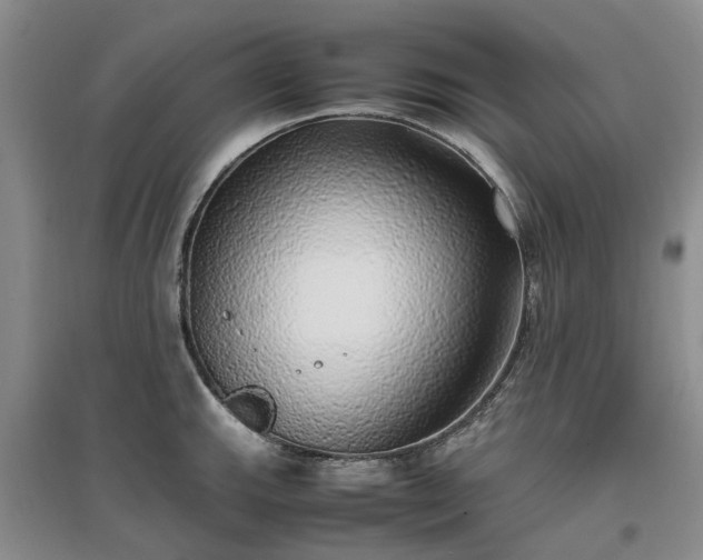 X0000097001143200802151409