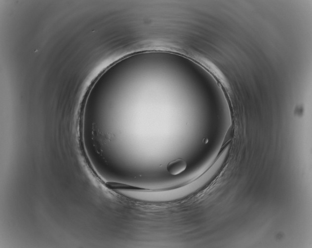 X0000097001144200802151409