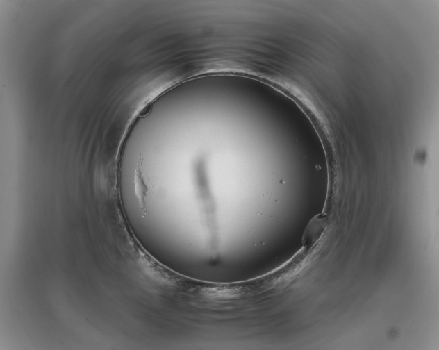 X0000097001145200802151409