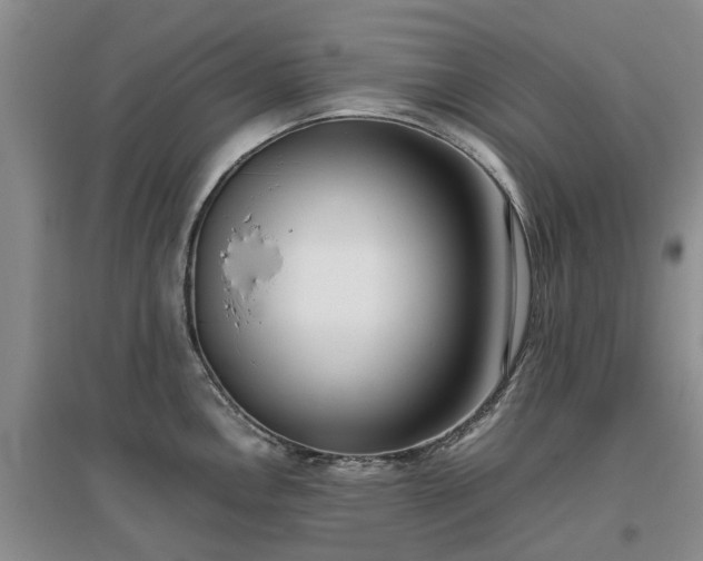 X0000097001146200802151409