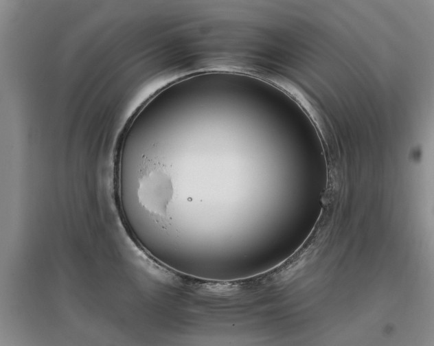 X0000097001147200802151409