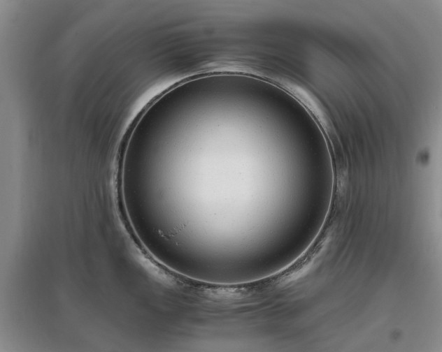 X0000097001149200802151409