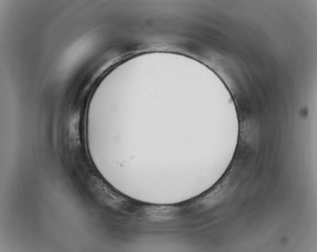 X0000097001150200802151409