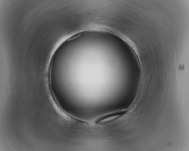 X0000097001152200802151409