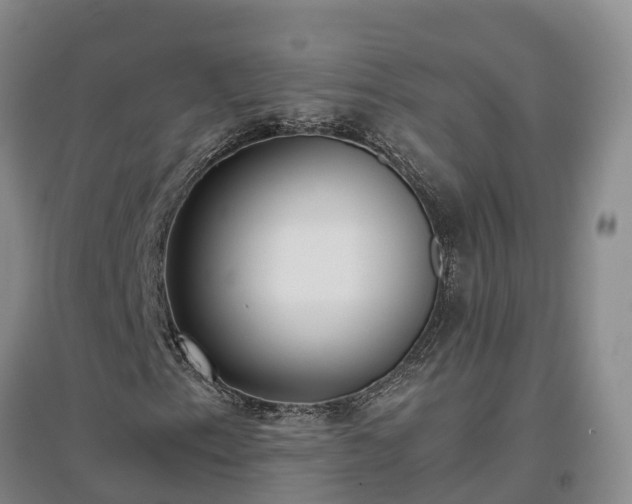X0000097001153200802151408