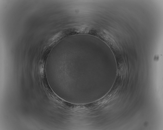 X0000097001154200802151408