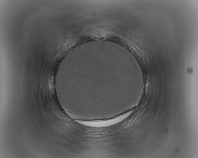 X0000097001156200802151408