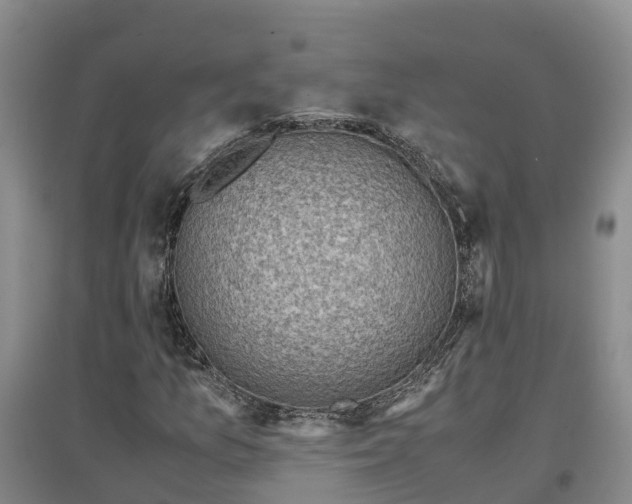 X0000097001157200802151408