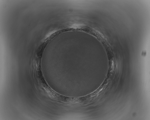 X0000097001158200802151408