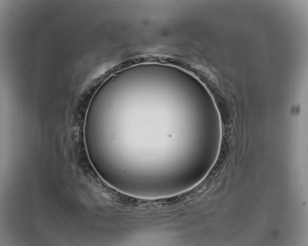 X0000097001159200802151408