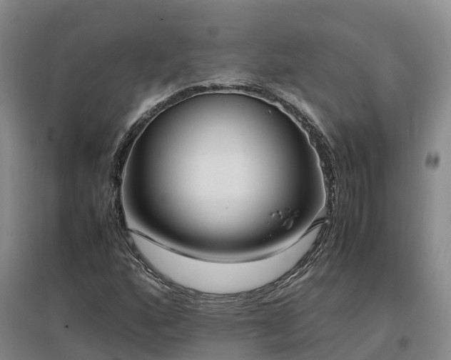 X0000097001160200802151408