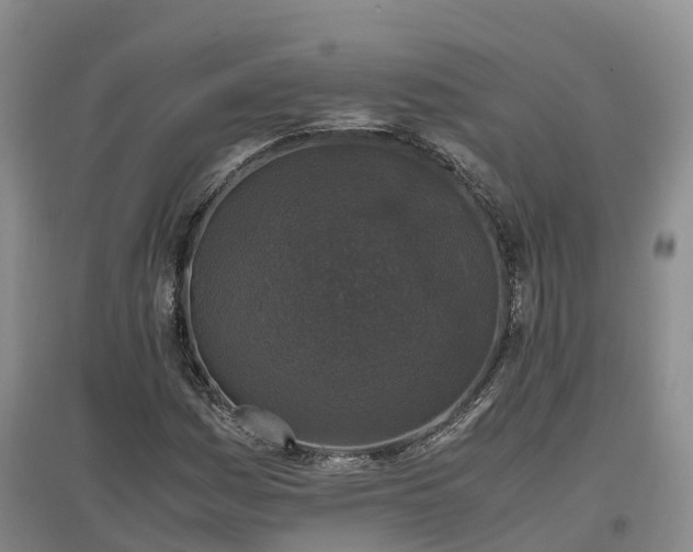X0000097001161200802151408