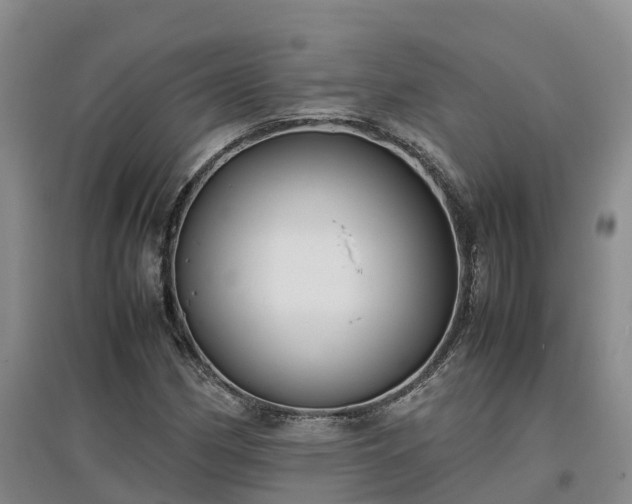 X0000097001162200802151408