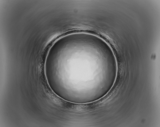 X0000097001163200802151408