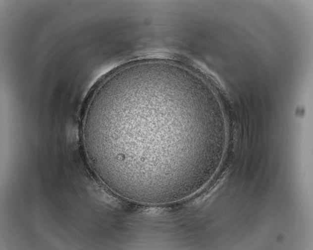 X0000097001166200802151408