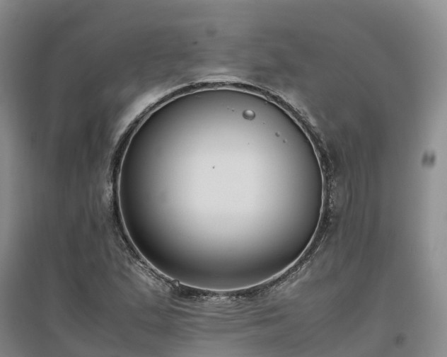 X0000097001167200802151408