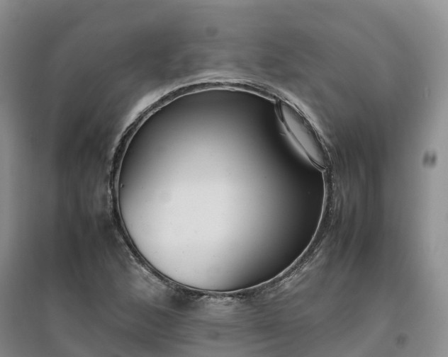 X0000097001168200802151408