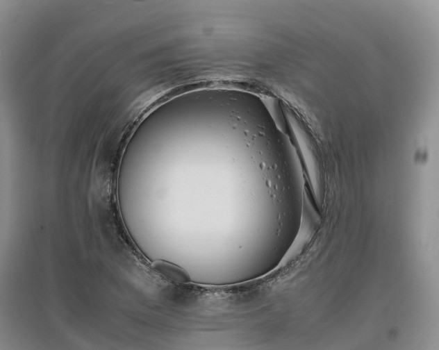 X0000097001169200802151408
