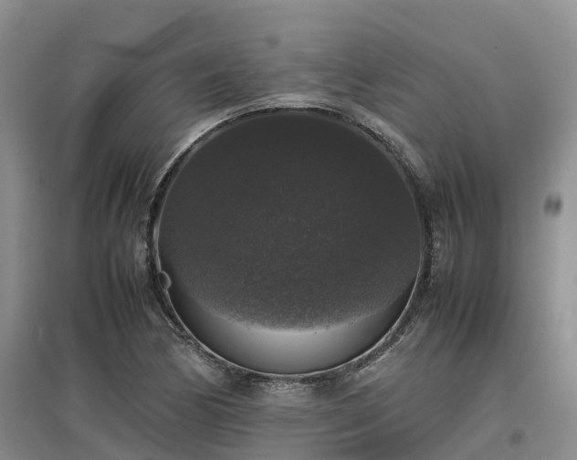 X0000097001170200802151408