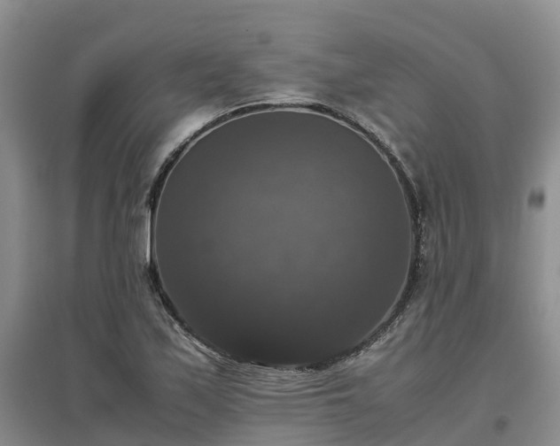 X0000097001171200802151408