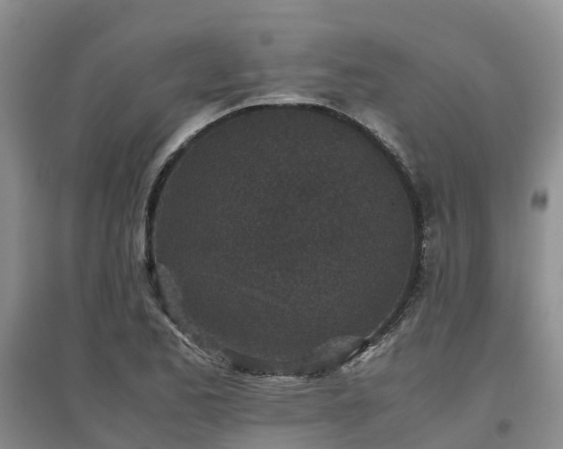 X0000097001173200802151408