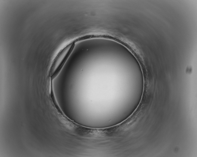 X0000097001175200802151408