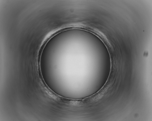 X0000097001176200802151408