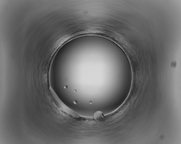 X0000097001177200802151408