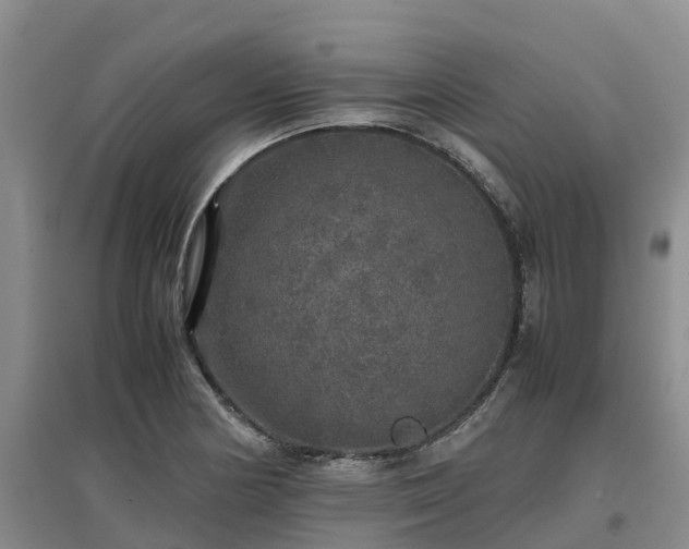 X0000097001178200802151408