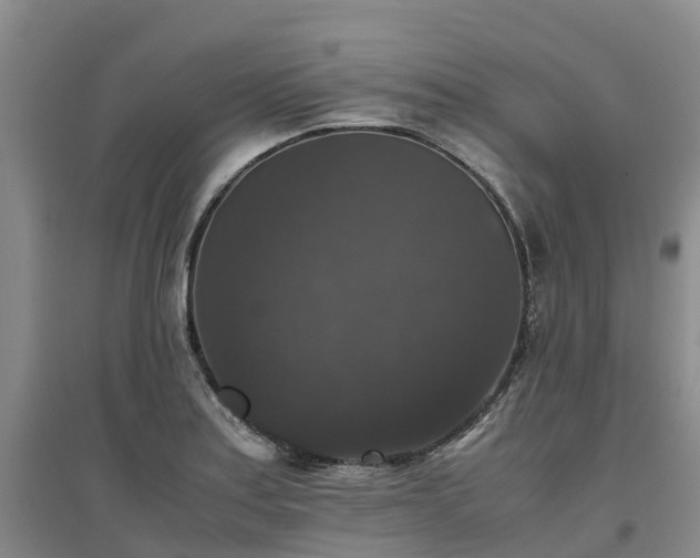 X0000097001179200802151408
