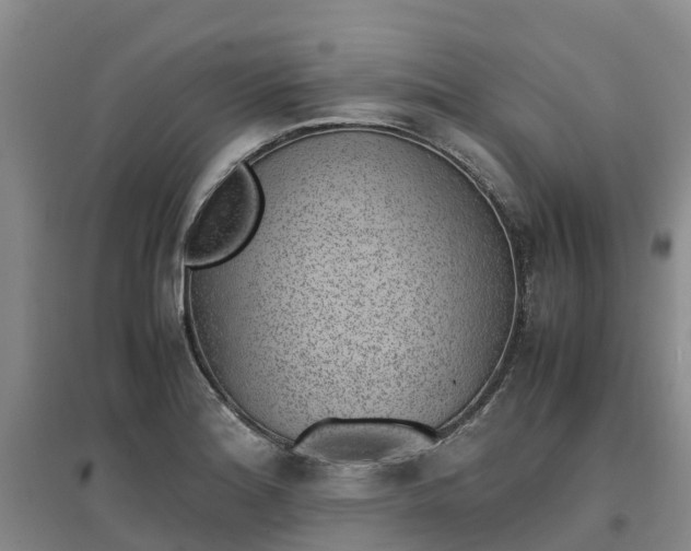 X0000097001180200802151408