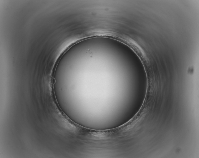 X0000097001182200802151408