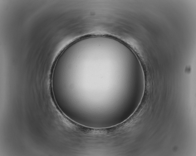 X0000097001183200802151408