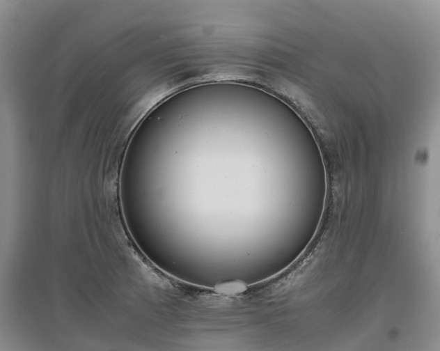 X0000097001185200802151407
