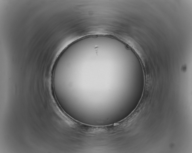 X0000097001187200802151407